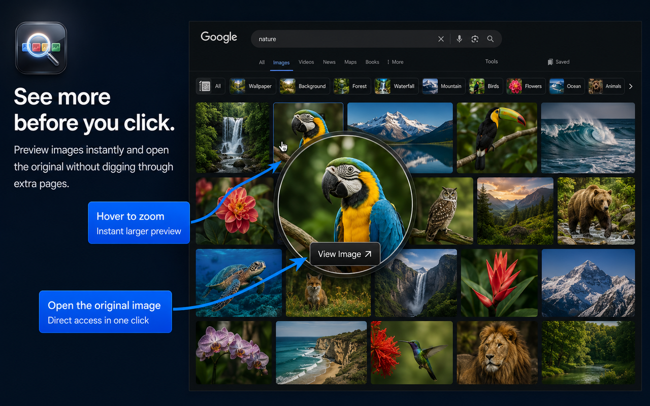 Hover image zoom and direct View Image button in Google Images
